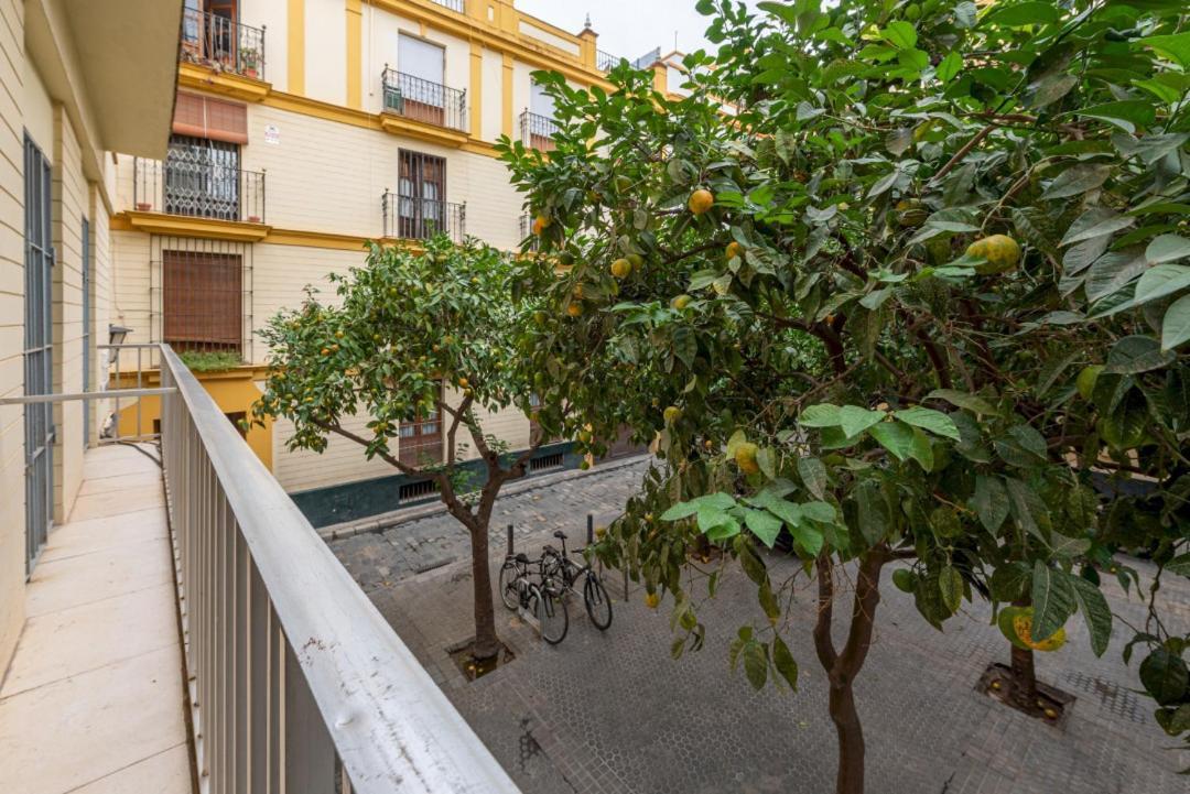 Apartamento Wide With Beautiful Kitchen 2bd 3bth -arenal